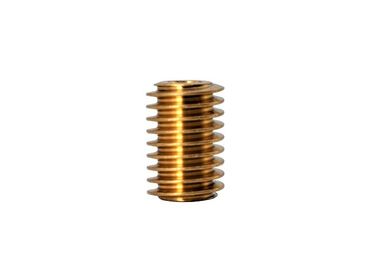 Brass Worm Gear Small Brass Spur Gears 1 Lead 0.5 High Wear Resistance